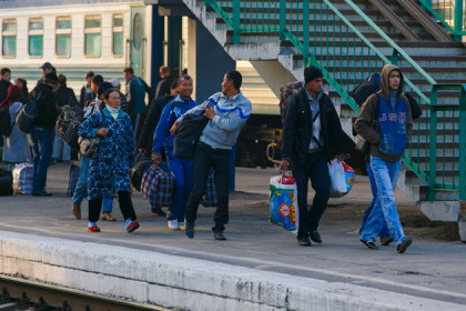 Легализацию мигрантов в обход закона поставили на поток в Новосибирске