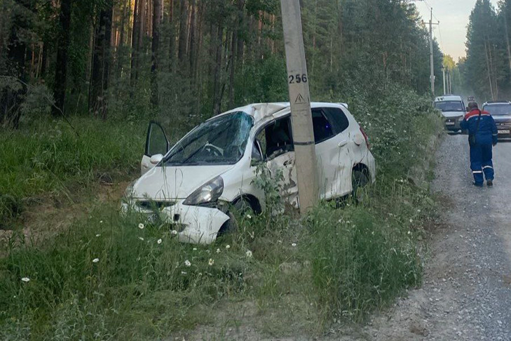 Водитель Honda оставил без света четыре села под Новосибирском