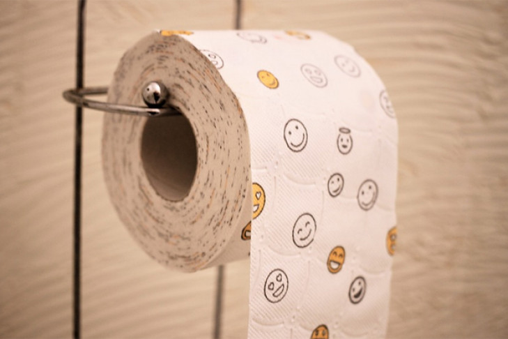 Туалетная бумага и мыло не пропали из новосибирской школы