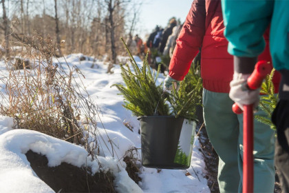 Прогноз погоды на 21-24 октября в Новосибирске сделали синоптики