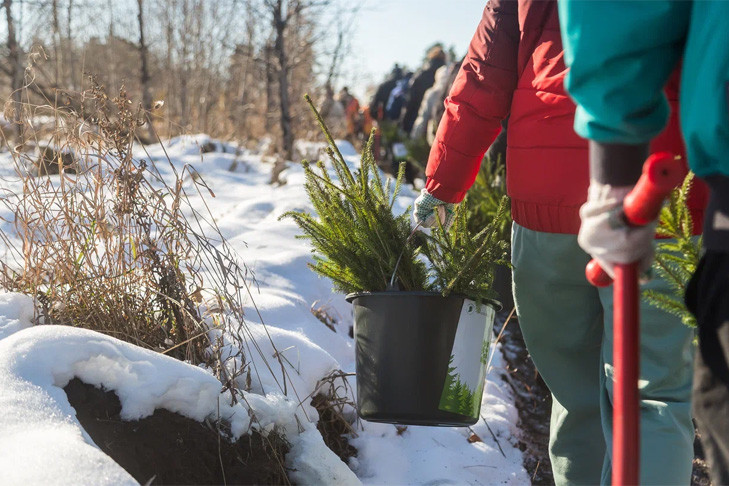 Прогноз погоды на 21-24 октября в Новосибирске сделали синоптики