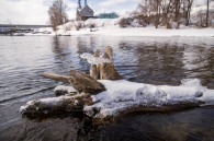 В Новосибирской области обсудили подготовку к весеннему паводку 2026 года