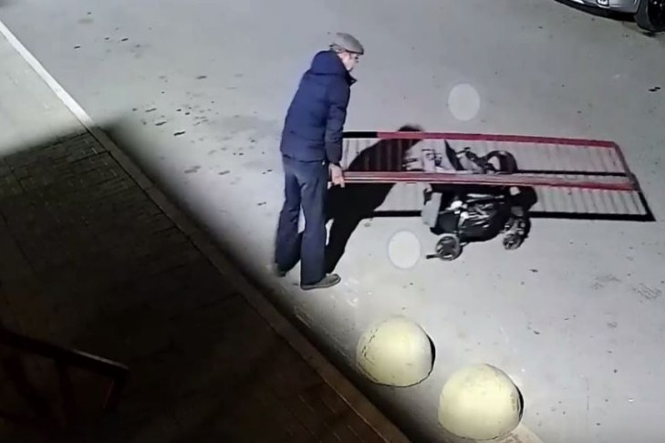 Вор с коляской терроризирует жителей «Матрешкиного двора» в Новосибирске