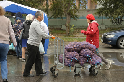 Картофель резко подорожал в Новосибирске