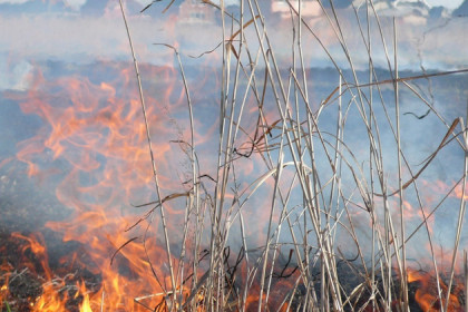 Природные пожары охватили запад Новосибирской области