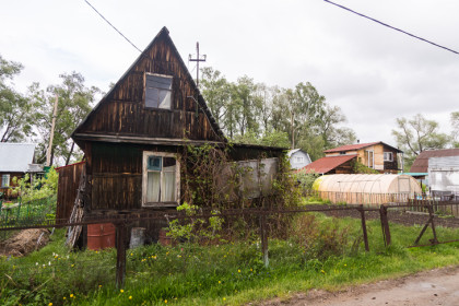 Дачников Новосибирска предупредили о конфискации заброшенных участков
