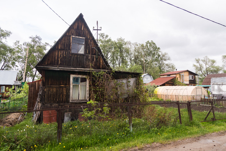 Дачников Новосибирска предупредили о конфискации заброшенных участков