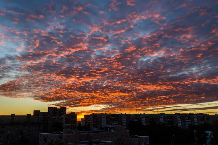 В Новосибирске зафиксированы превышения ПДК по формальдегиду и аммиаку
