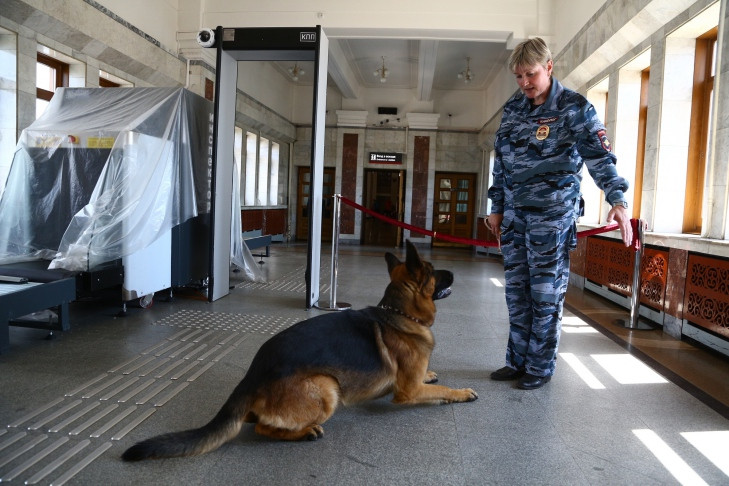 Тонну насвая, нунчаки и кораллы изъяли таможенники в аэропорту Толмачево
