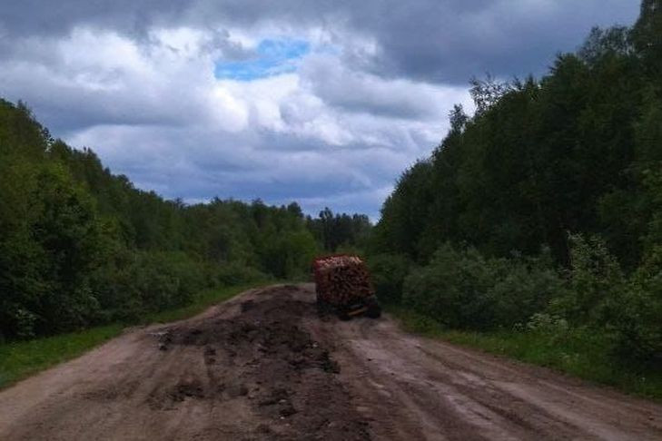 Дорогу Колывань-Пихтовка закрыли для большегрузов до 1 августа