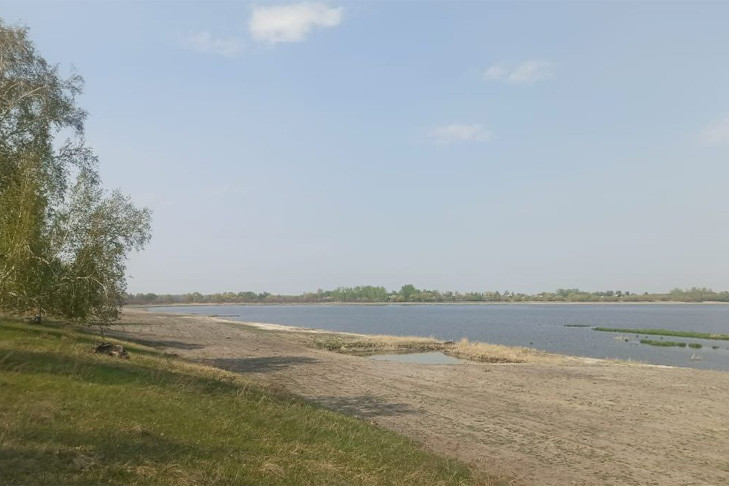 Расчистка озера Половинное в Новосибирской области спасла его от полной деградации