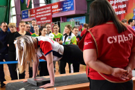 Более 80 рекордов установили спортсмены Новосибирской области на фестивалях ГТО