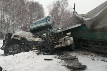 Три грузовика столкнулись на трассе под Новосибирском – есть жертвы