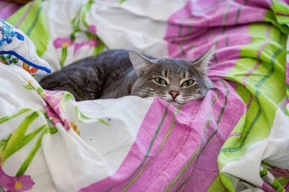 Назван главный способ вернуться в рабочий ритм после праздников