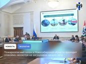 Пожароопасный сезон в Новосибирской области проходит спокойно, несмотря на засушливое начало лета