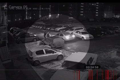 Воровать или не воровать: новосибирский суд отправил Гамлета в колонию