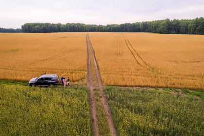Посевная кампания-2025 полностью завершена в Новосибирской области