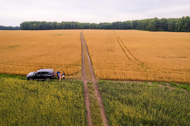 Посевная кампания-2025 полностью завершена в Новосибирской области