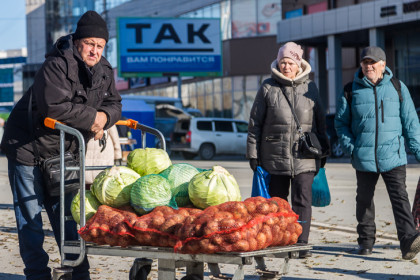 Резкое потепление до +7 накроет Новосибирскую область с 18 октября