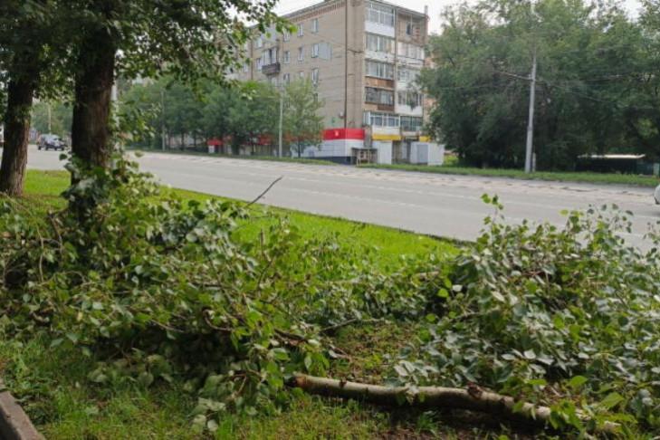 Упавшими деревьями после ливня с грозой завалило улицы Новосибирска