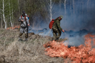 Особый противопожарный режим введён в Новосибирской области до середины мая