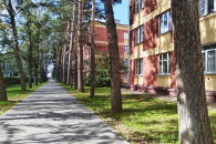 10 из 12: в Новосибирске почти все городские конфликты оказались связаны с экологией