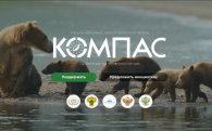 Жители Новосибирской области могут присоединиться к всероссийским экологическим проектам