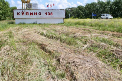 Саженцы на аллее Победы скосили на корм скоту в Купино