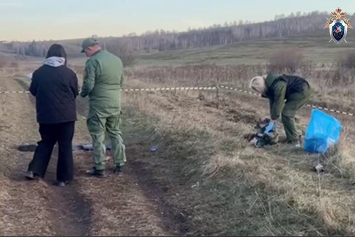 Десятилетний сибиряк погиб после нападения стаи бродячих собак