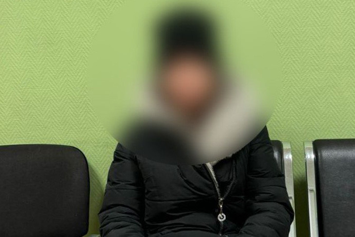 Напилась и потеряла малолетнюю дочь пассажирка на вокзале Новосибирск-Главный