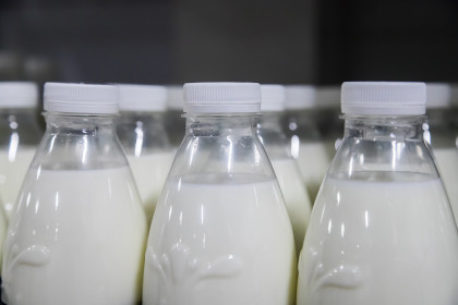 В Новосибирске утилизировали более 5 тонн молочных продуктов в 2025 году