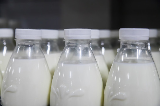 В Новосибирске утилизировали более 5 тонн молочных продуктов в 2025 году