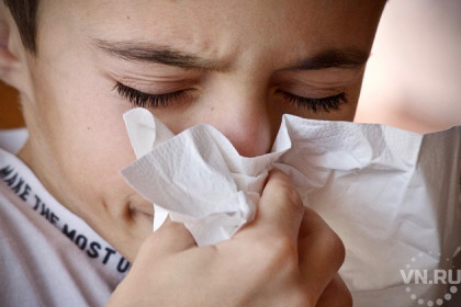 Вспышка гриппа и ОРВИ в Новосибирске: врачи разошлись во мнениях
