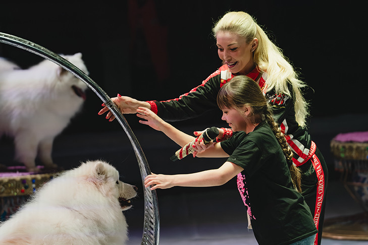 Открытая репетиция шоу Гии Эрадзе и компании Росгосцирк «Песчаная сказка» состоялась в Новосибирском цирке