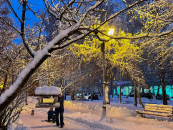 Под Новосибирском зафиксировали рекордный за последние 125 лет снегопад