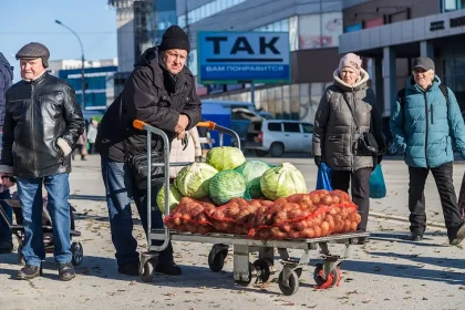 Дачи и огороды новосибирцев обеспечивают регион картошкой на 75%