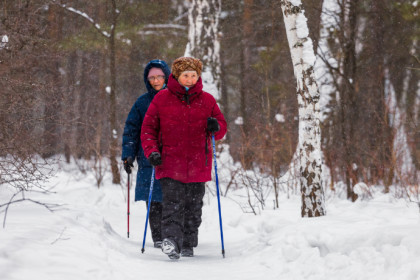 Морозы до -25 градусов: прогноз погоды в первую рабочую неделю января в Новосибирске