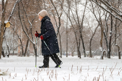 График выплат пенсий и пособий на март-2026 опубликован в Новосибирске