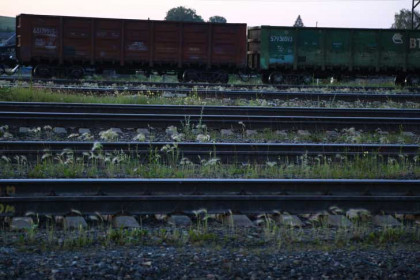 Поезд сбил 18-летнего парня в Новосибирской области