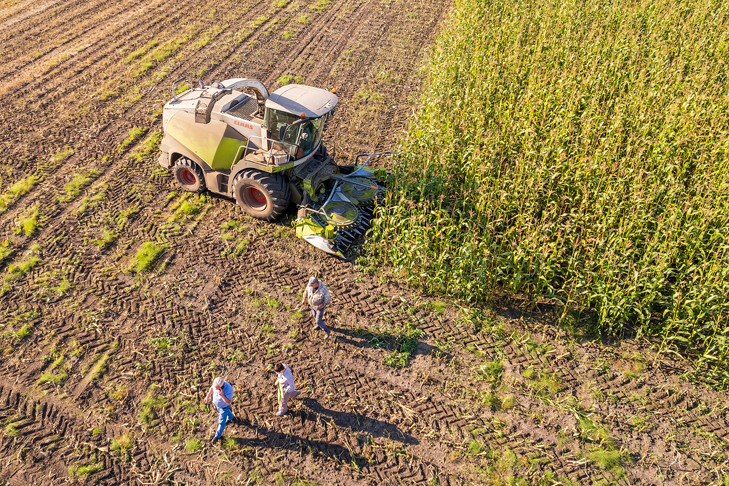 Состояние почвы после теплой зимы оценили в Новосибирской области