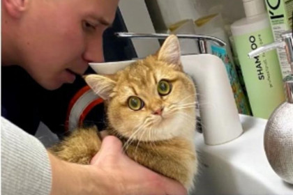 Любознательный кот застрял в раковине – на помощь пришли новосибирские спасатели