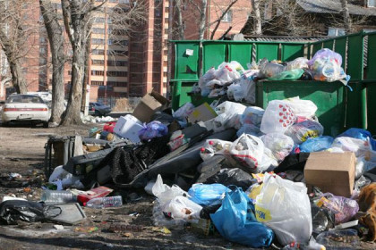 Китайцы закидали мусором теплицы под Новосибирском