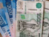 В Новосибирской области прожиточный минимум в 2027 году увеличится