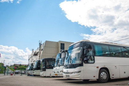 Расписание автобусов Купино – Новосибирск-2019: цена и время