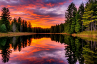 Озеро Шерстяное и реку Смородинку нашли в Новосибирской области