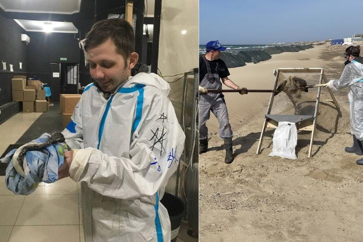 Песок до сих пор чёрный: новосибирский волонтёр рассказал о ситуации в Анапе