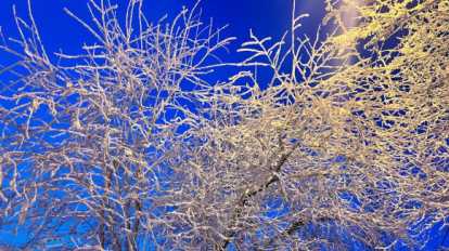 Снежно и ветрено: похолодание придёт в Новосибирскую область 17 декабря