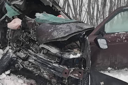 Три трупа: обстоятельства смертельного ДТП на трассе К-19 выясняют следователи