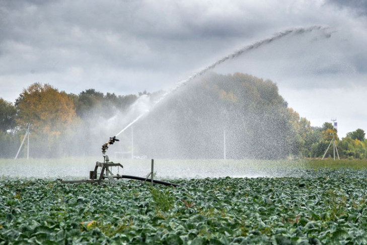 Оборот пестицидов и агрохимикатов в России возьмут под контроль