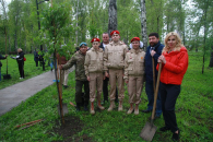 «Сад памяти»: 45 деревьев высадили в сквере Героев Донбасса в Новосибирске
